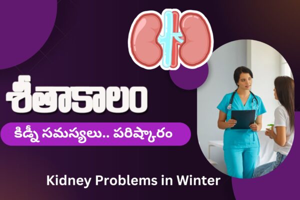 Kidney Problem Winter-Aarogya Sravanthi Telugu